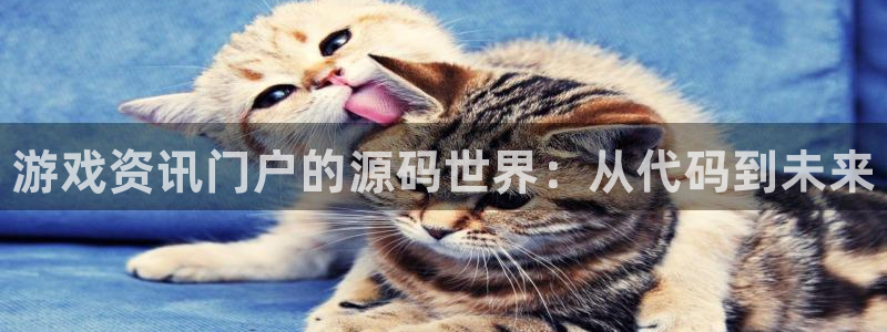 极悦娱乐平台注册开户：游戏资讯门户的源码世界：从代码到未来