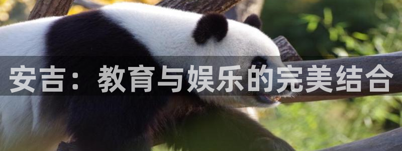 极悦娱乐注册平台：安吉：教育与娱乐的完美结合