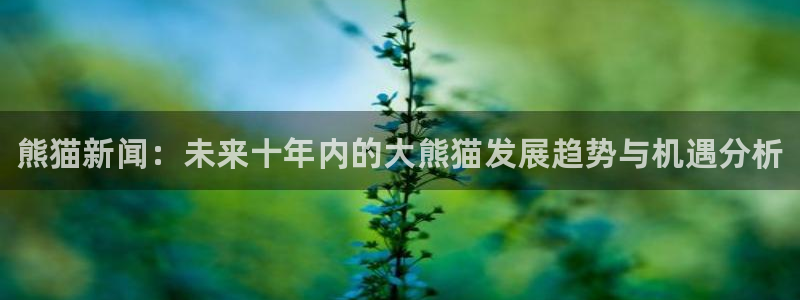 极悦娱乐娱乐是真的吗：熊猫新闻：未来十年内的大熊猫发展趋势与