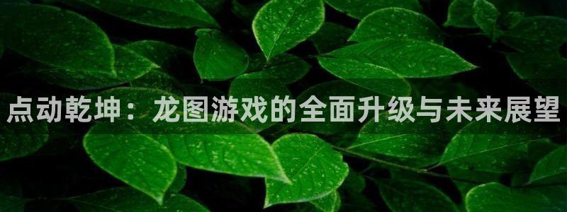 极悦娱乐平台注册资金多少：点动乾坤：龙图游戏的全面升级与未来