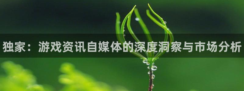 极悦娱乐主管：独家：游戏资讯自媒体的深度洞察与市场分析