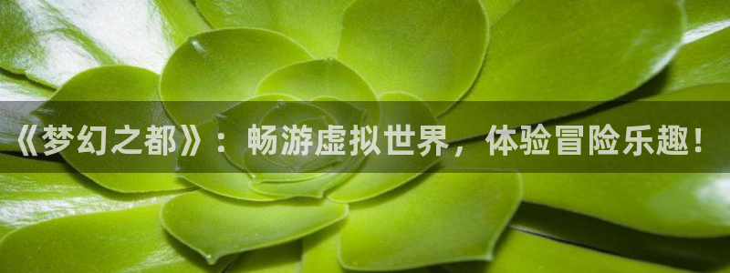 极悦娱乐官方平台：《梦幻之都》：畅游虚拟世界，体验冒险乐趣！