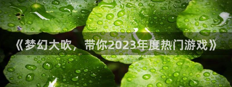 极悦娱乐手机网页版登录：《梦幻大吹，带你2023年度热门游戏