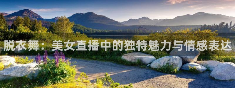 斗球直播网站：脱衣舞：美女直播中的独特魅力与情感表达