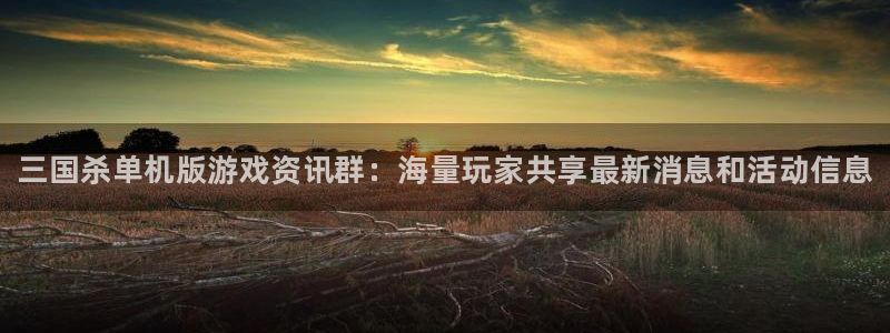 极悦娱乐官网登录：三国杀单机版游戏资讯群：海量玩家共享最新消