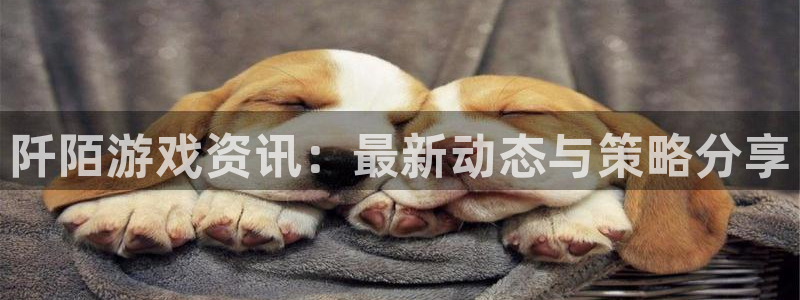 极悦娱乐直属：阡陌游戏资讯：最新动态与策略分享