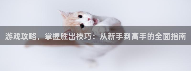 极悦娱乐娱乐是真的吗：游戏攻略，掌握胜出技巧：从新手到高手的