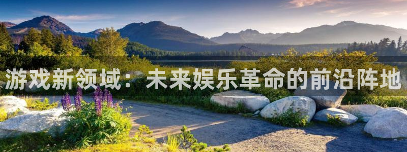 极悦娱乐注册服务条款：游戏新领域：未来娱乐革命的前沿阵地