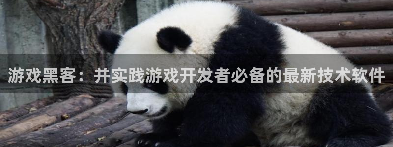 极悦娱乐下载链接：游戏黑客：并实践游戏开发者必备的最新技术软