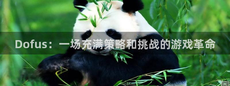 极悦娱乐登录地址：Dofus：一场充满策略和挑战的游戏革命