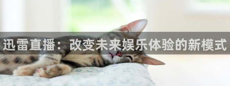 斗球体育nba直播：迅雷直播：改变未来娱乐体验的新模式