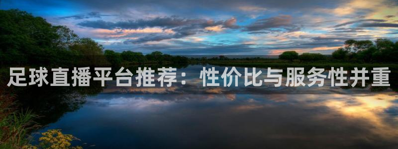 斗球免费观看：足球直播平台推荐：性价比与服务性并重